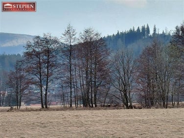 Działka Kostrzyca