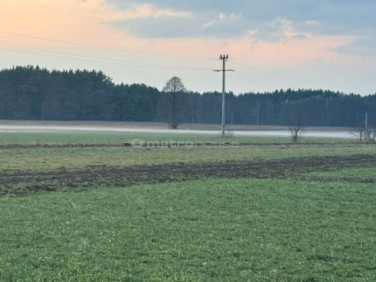 Działka budowlana Kiciny