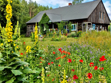 Działka budowlana Pąchy