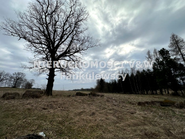 Działka budowlana Stara Kamienica