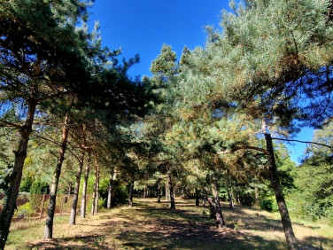 Działka budowlana Kazuń-Bielany