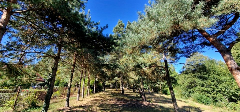 Działka budowlana Kazuń-Bielany