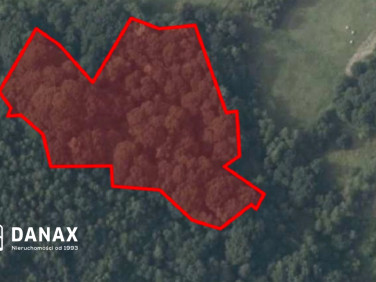 Działka leśna sprzedam