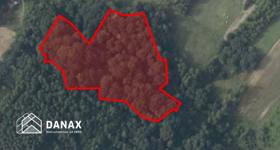 Działka leśna sprzedam