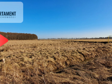 Działka inna Kruszyn Krajeński sprzedam