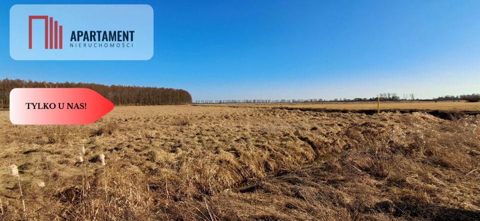 Działka inna Kruszyn Krajeński sprzedam