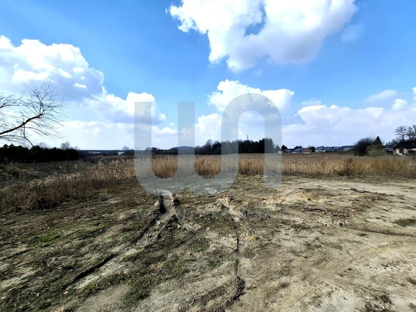 Zdjęcie 2