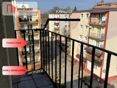 Mieszkanie Chocianów