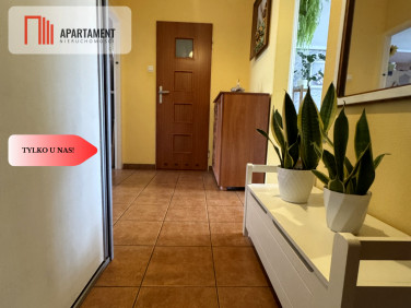 Mieszkanie Chocianów