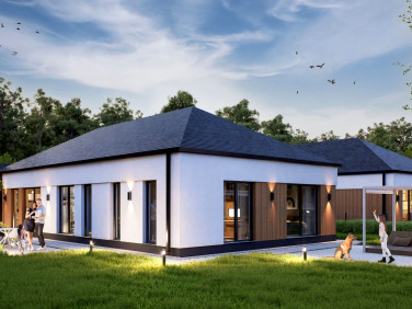 Dom Borowina sprzedaż