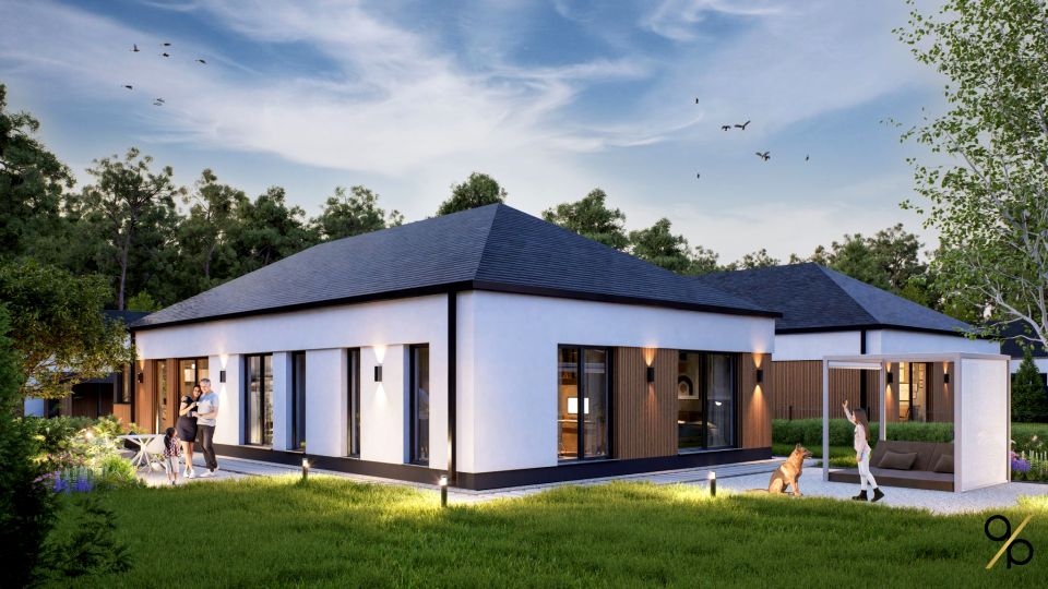 Dom Borowina sprzedaż