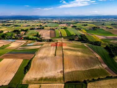 Działka rolna Nowe Brzesko