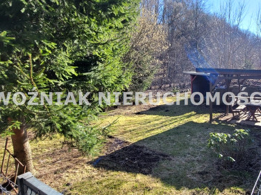 Mieszkanie Olszyniec