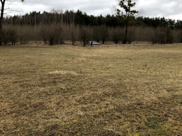 Działka rekreacyjna Tomaszyn