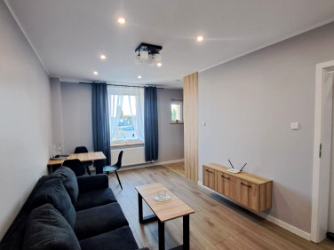 Mieszkanie Oleśnica