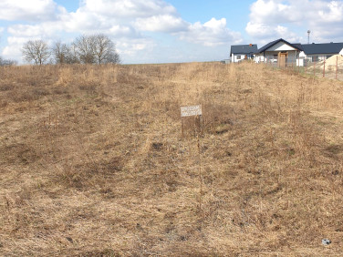 Działka budowlana Siedliszcze