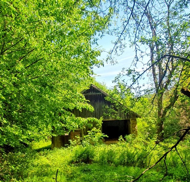 Działka inna Będkowice