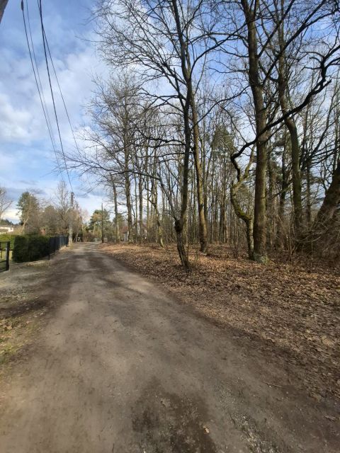 Działka rolno-leśna Rudy