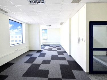 Lokal Kraków wynajem