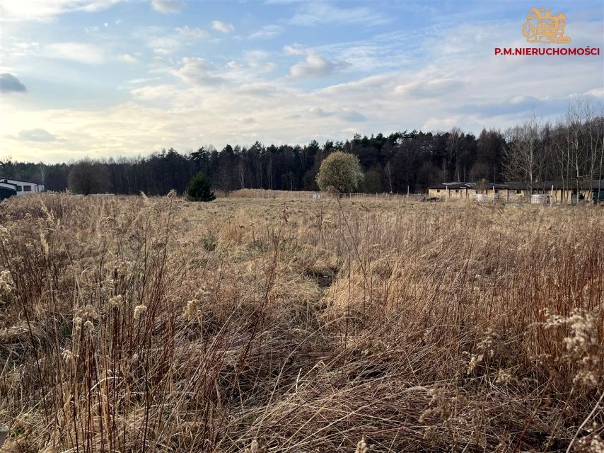 Działka budowlana Rybnik