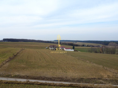 Działka budowlana Celiny