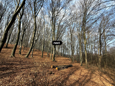 Działka leśna Sukmanie