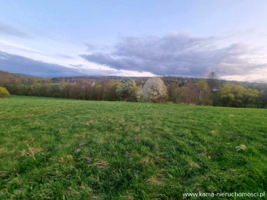 Działka rolna Chromiec