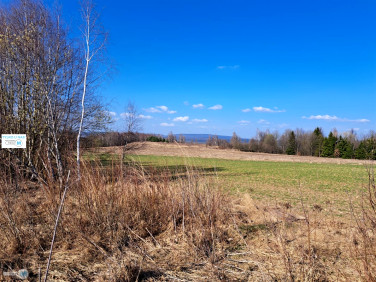 Działka budowlano-rolna Sędek