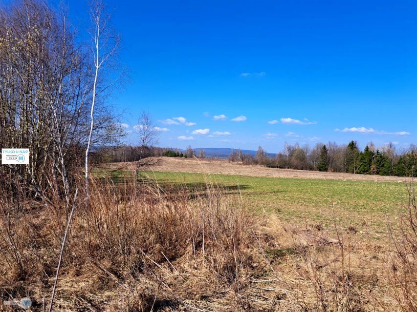 Działka budowlano-rolna Sędek