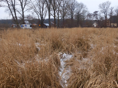 Działka budowlana Chomino