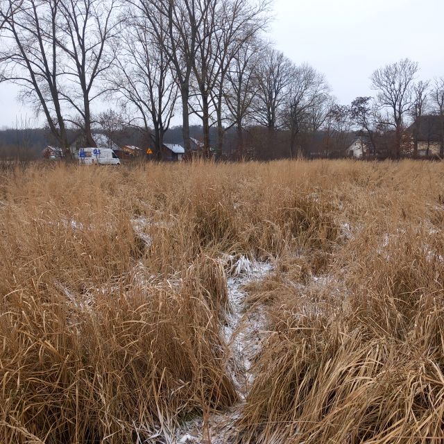 Działka budowlana Chomino