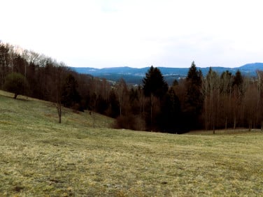 Działka budowlana Istebna