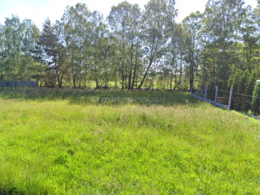 Działka nad jeziorem