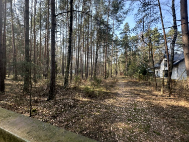 Działka budowlana Rosanów