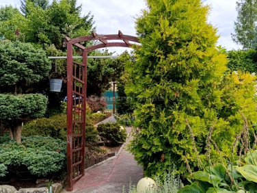 Działka rekreacyjna Sokolniki-Las