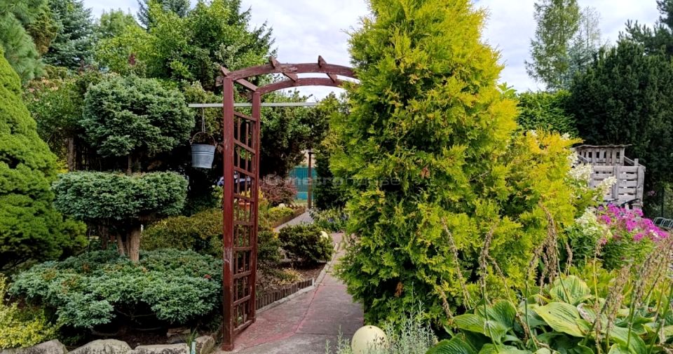 Działka rekreacyjna Sokolniki-Las