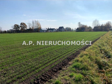 Zabudowana działka Dąbrowa Tarnowska