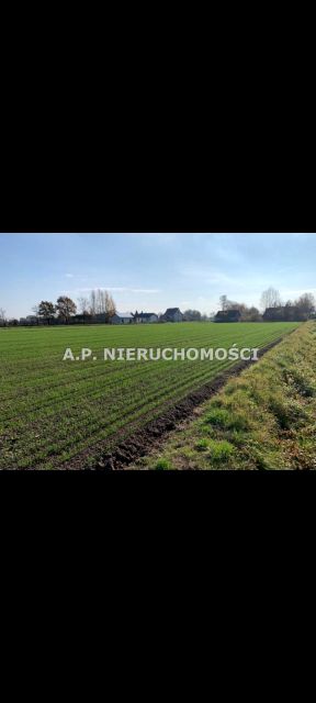 Zabudowana działka Dąbrowa Tarnowska