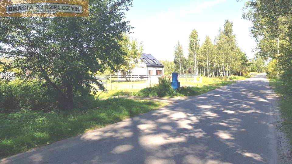 Zdjęcie 3