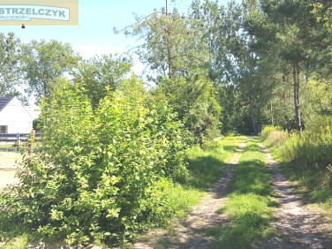 Działka budowlana Słubica Dobra