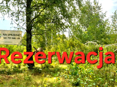 Działka nad rzeką