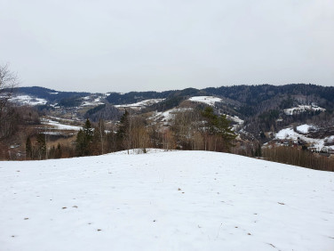 Działka rolna Ochotnica Dolna