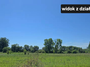 Działka budowlana Chełm