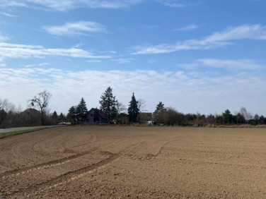 Działka budowlana Stary Zamek