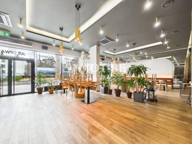 Lokal Wrocław