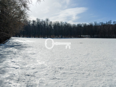 Działka budowlana Czapielsk