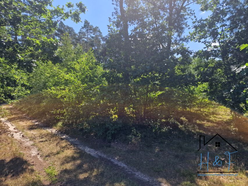 Działka leśna Anielin