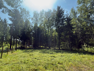 Działka budowlana Ojrzanów