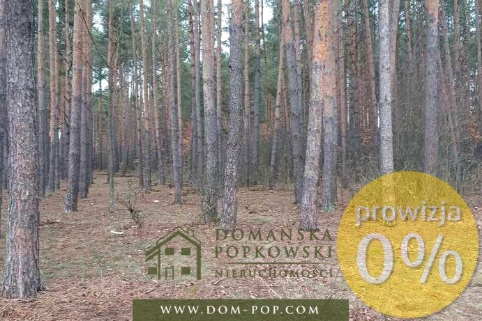 Działka leśna Cyganówka