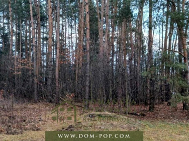 Działka leśna Cyganówka